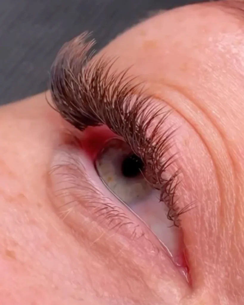 lashinc lash beauty moment