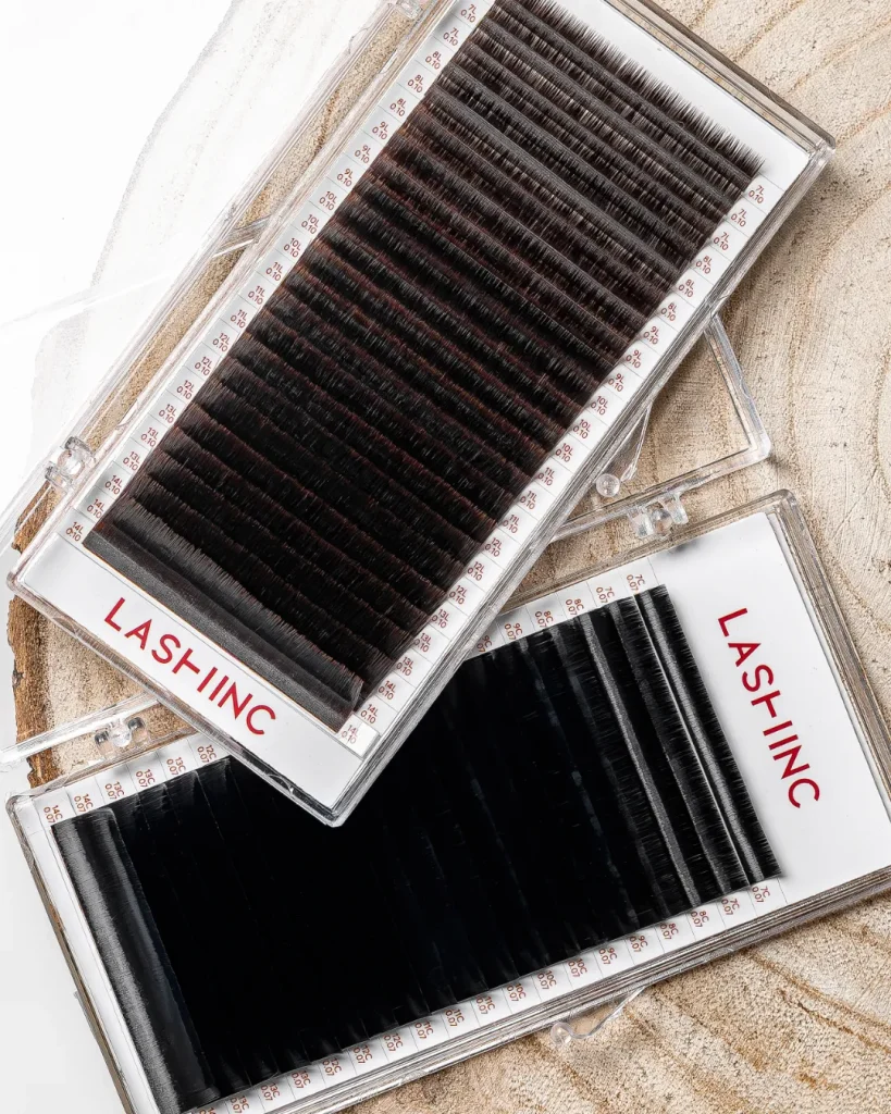 lashinc lash collection